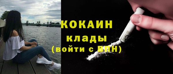 винт Майский
