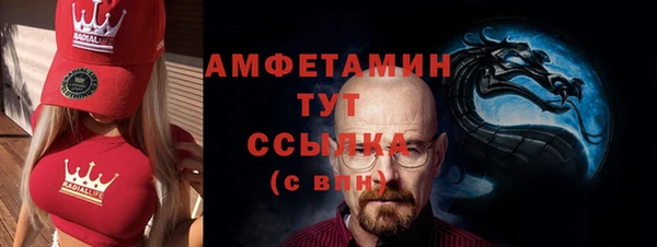 шишки Верхний Тагил