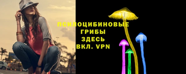 прущие крисы Магадан