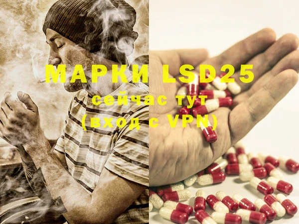 spice Магас