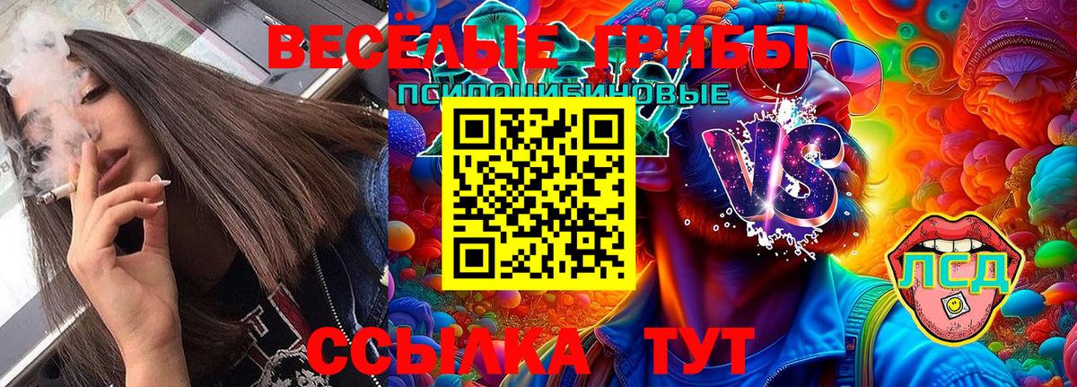 Псилоцибиновые грибы ЛСД  Псилоцибиновые грибы Cubensis  Дзержинский 